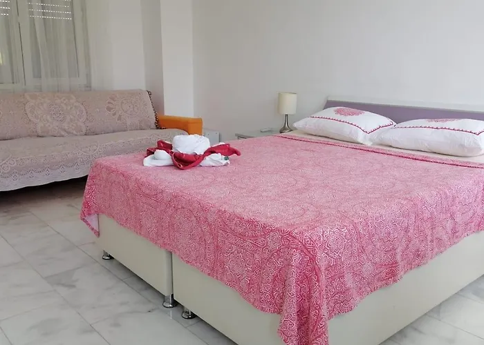 Aydın Villa *